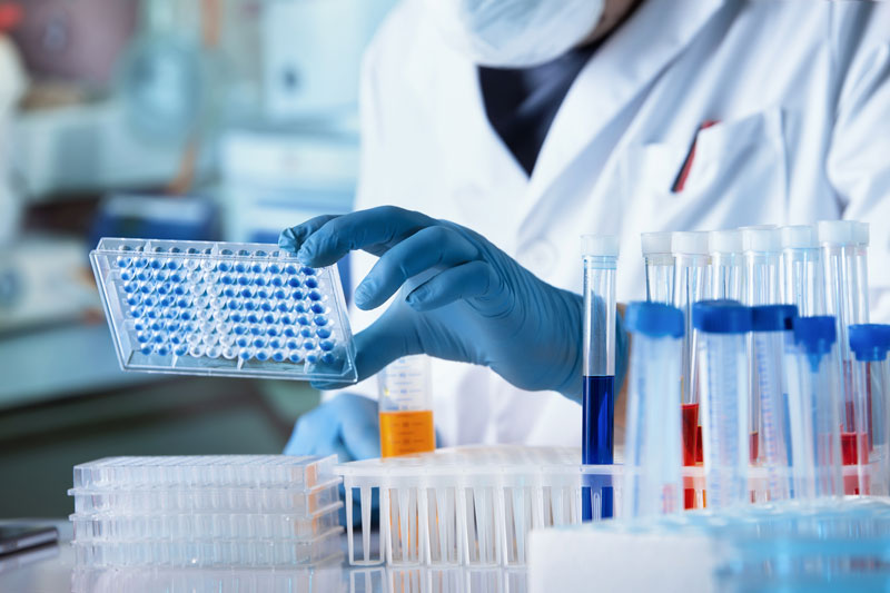 Biopharma Group - A Diagnostics Lab
